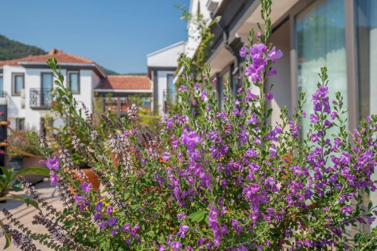 On Oda Oludeniz Exterior photo