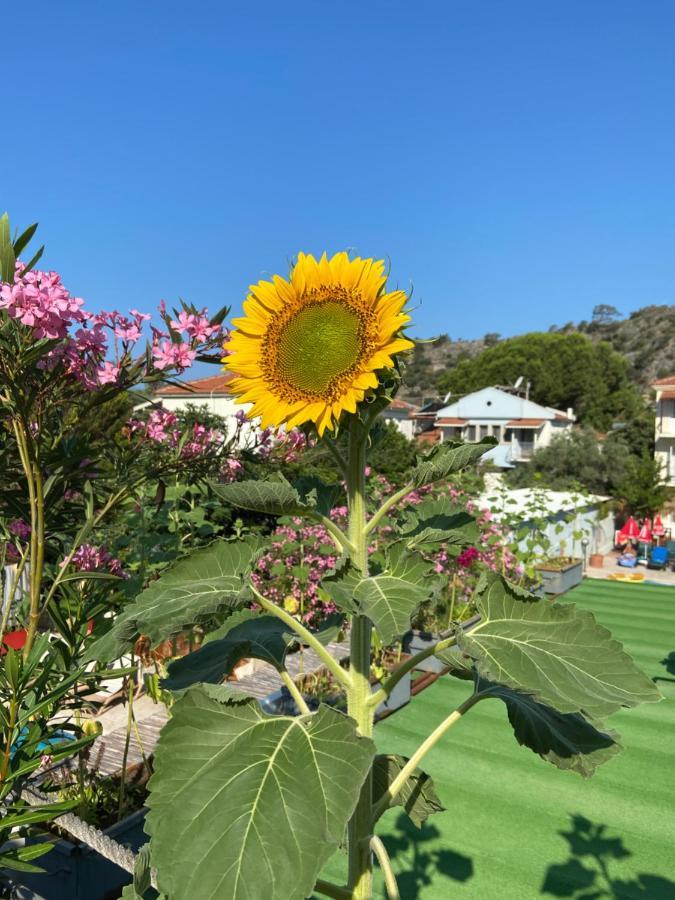 On Oda Oludeniz Exterior photo