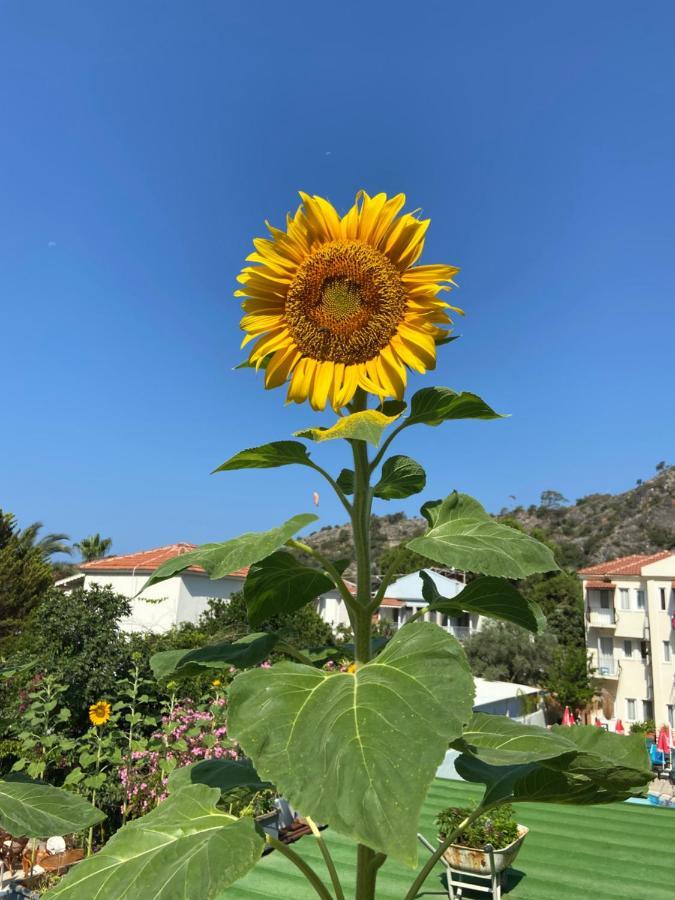 On Oda Oludeniz Exterior photo